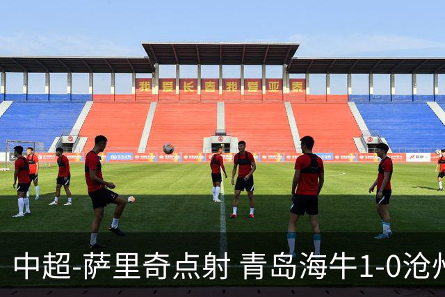 中超-萨里奇点射 青岛海牛1-0沧州雄狮携手保级